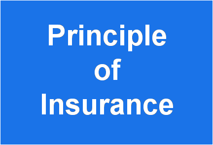http://study.aisectonline.com/images/Principle of Insurance BCom E3.png